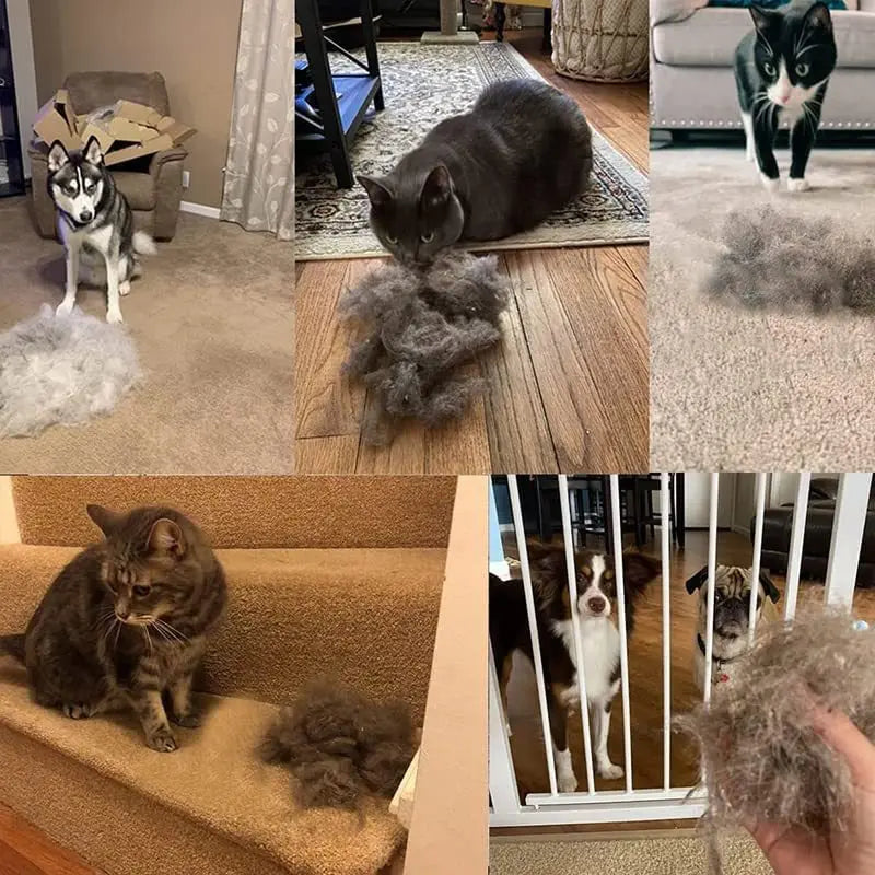 Ultimate 2-Piece Pet Hair Remover Set - Effortlessly Banish Dog & Cat Fur from Carpets, Couches, Rugs, and More!